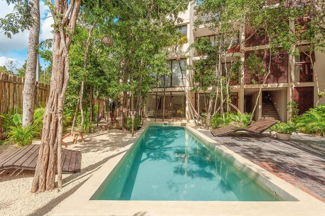 Eco-Designed & Nature-Infused Units By Stella Rentals Tulum