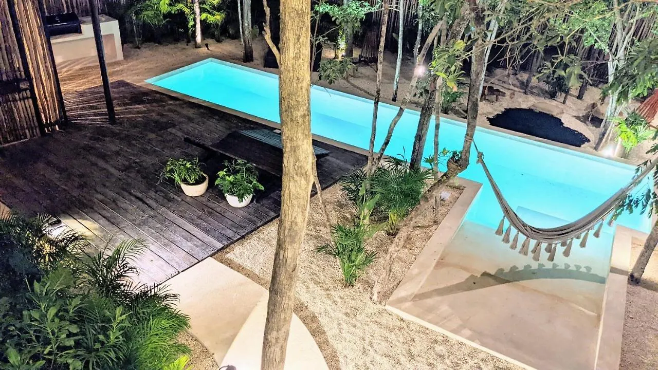 Daire Eco-Designed & Nature-Infused Units By Stella Rentals Tulum