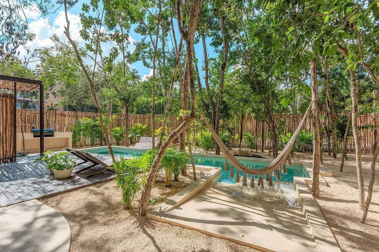 Eco-Designed & Nature-Infused Units By Stella Rentals Tulum