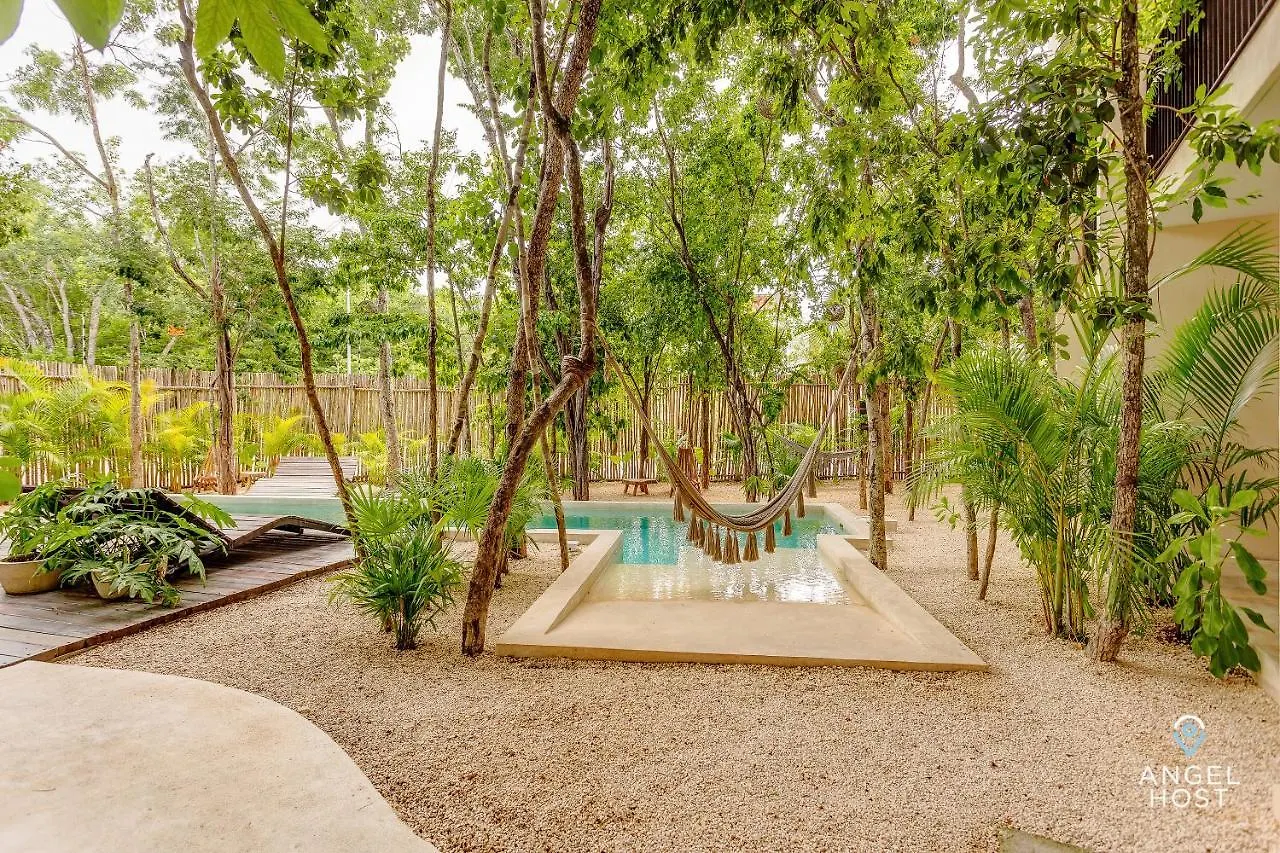 Eco-Designed & Nature-Infused Units By Stella Rentals Tulum
