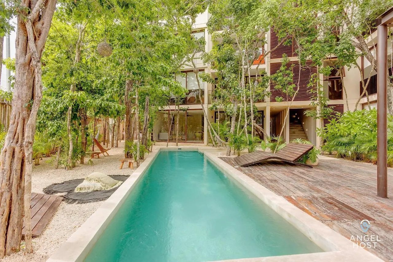 Eco-Designed & Nature-Infused Units By Stella Rentals Tulum