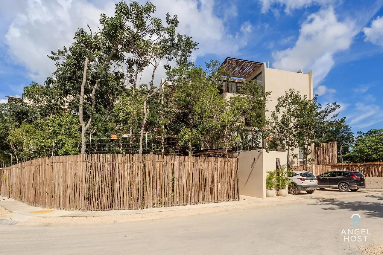 Eco-Designed & Nature-Infused Units By Stella Rentals Tulum Mexico